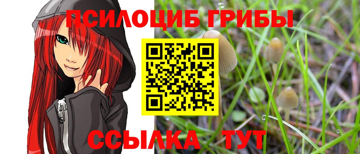 Псилоцибиновые грибы GOLDEN TEACHER Новочебоксарск