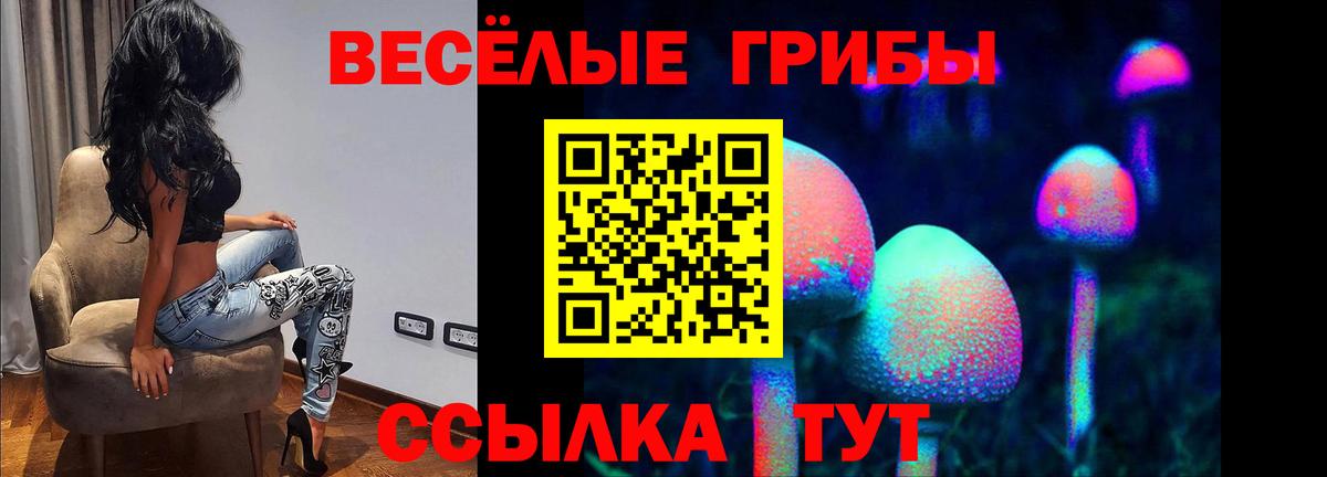 Псилоцибиновые грибы мицелий  Галлюциногенные грибы Psilocybe  Вход с VPN  Новочебоксарск 